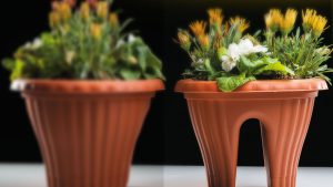 قیمت عمده گلدان