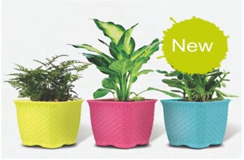 مرکز فروش گلدان پلاستیکی