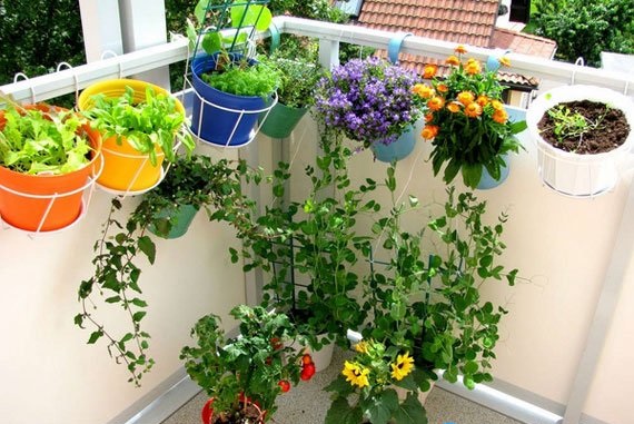 قیمت گلدان پلاستیکی