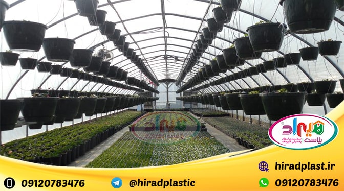 فروش گلدان پلاستیکی گلخانه