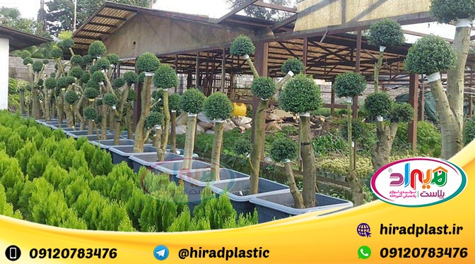 فروش گلدان پلاستیکی گلخانه