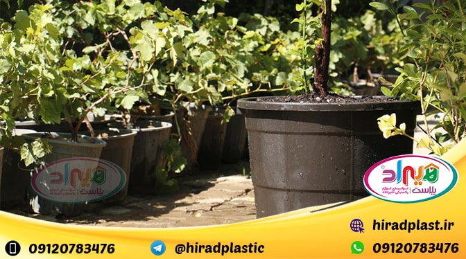 فروش گلدان پلاستیکی گلخانه