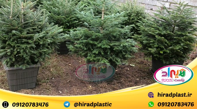 فروش گلدان پلاستیکی گلخانه