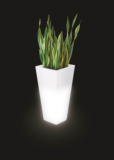 فروشگاه گلدان پلاستیکی