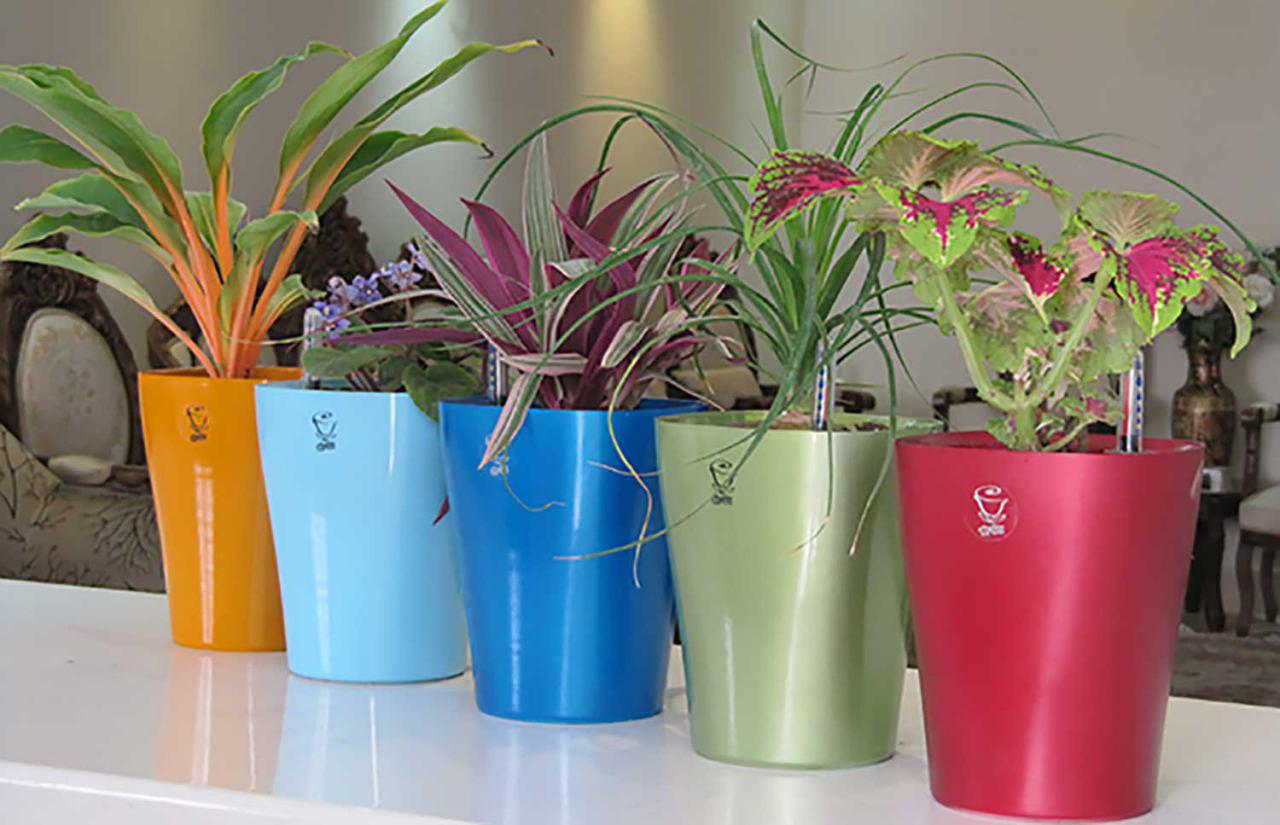 فروش گلدان پلاستیکی