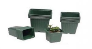 خریدار گلدان پلاستیکی گلخانه ای