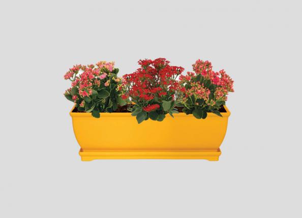 بررسی خصوصیات گلدان پلاستیکی اصل