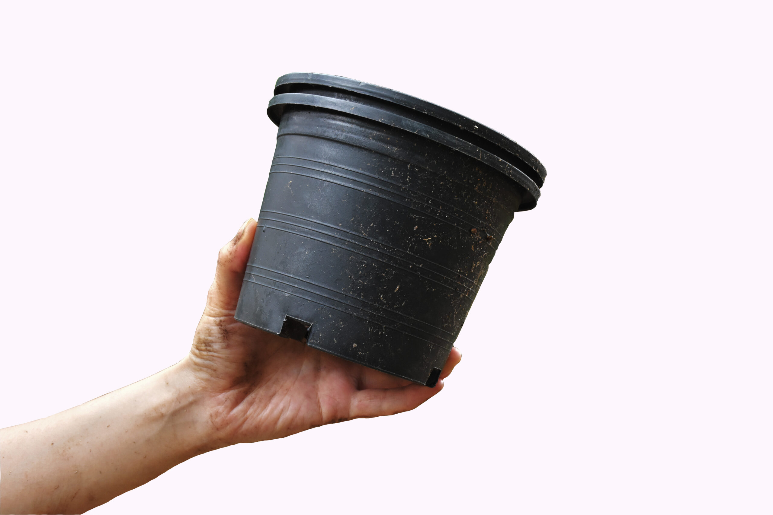 گلدان پلاستیکی گلخانه ای