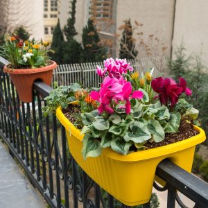 جای کافی ندارید؟ انواع گلدان نرده ای را به شما پیشنهاد می کنیم