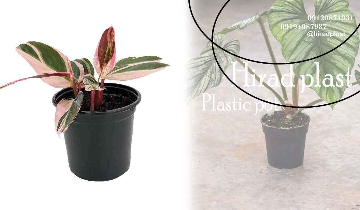 گلدان پلاستیکی ارزان قیمت