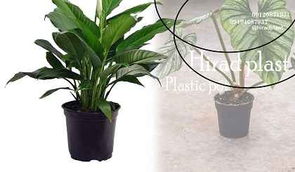 گلدان پلاستیکی ارزان