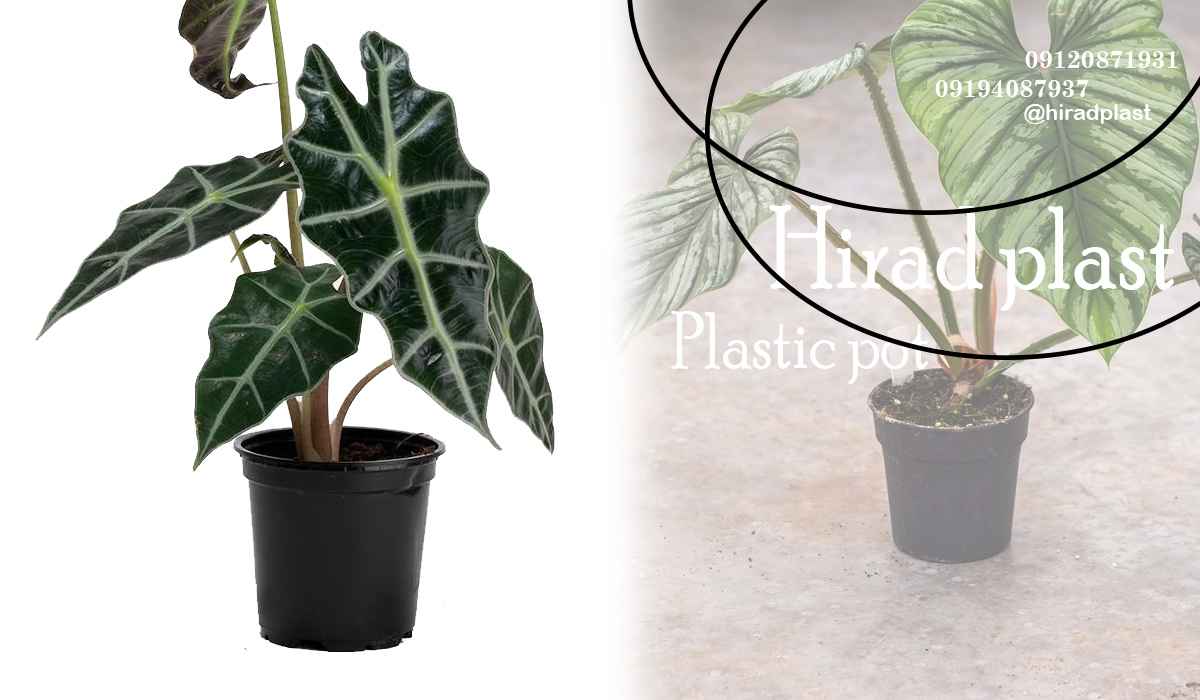 گلدان پلاستیکی باغی