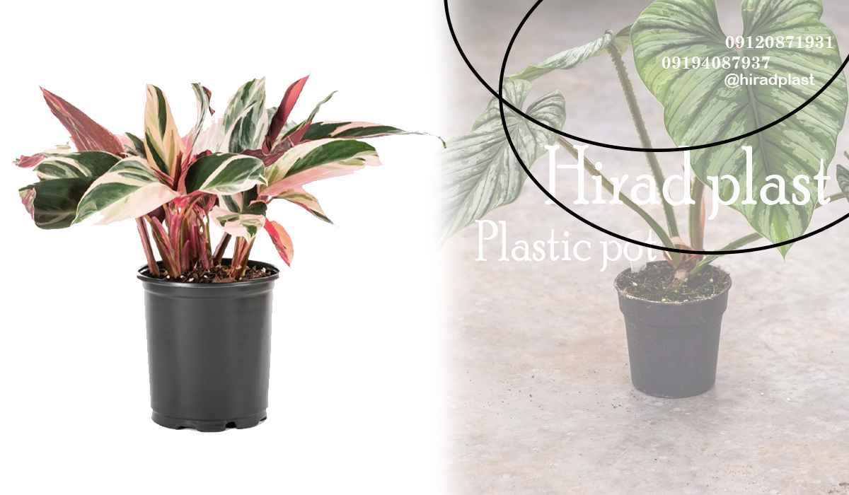 گلدان پلاستیکی عمده