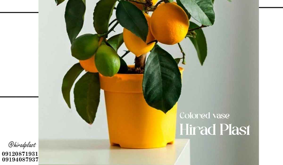 گلدان پلاستیکی ارزان