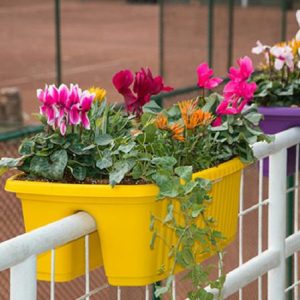 قیمت مناسب انواع گلدان پلاستیکی رنگی لبه تراس