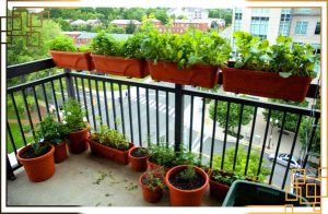 هیراد پلاست، بهترین انتخاب برای خرید انواع گلدان