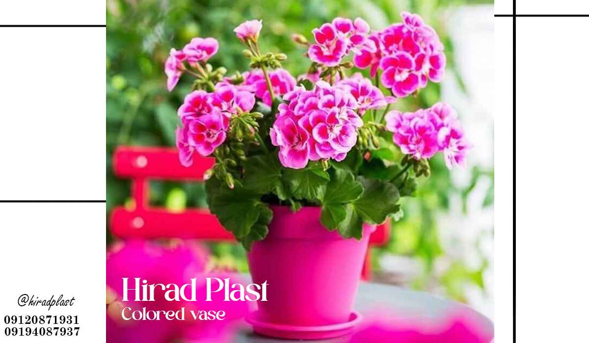 گلدان پلاستیکی رنگی