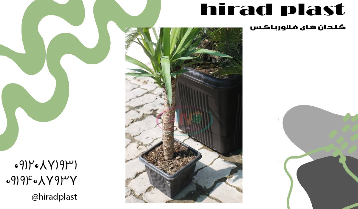 گلدان پلاستیکی گلخانه ای