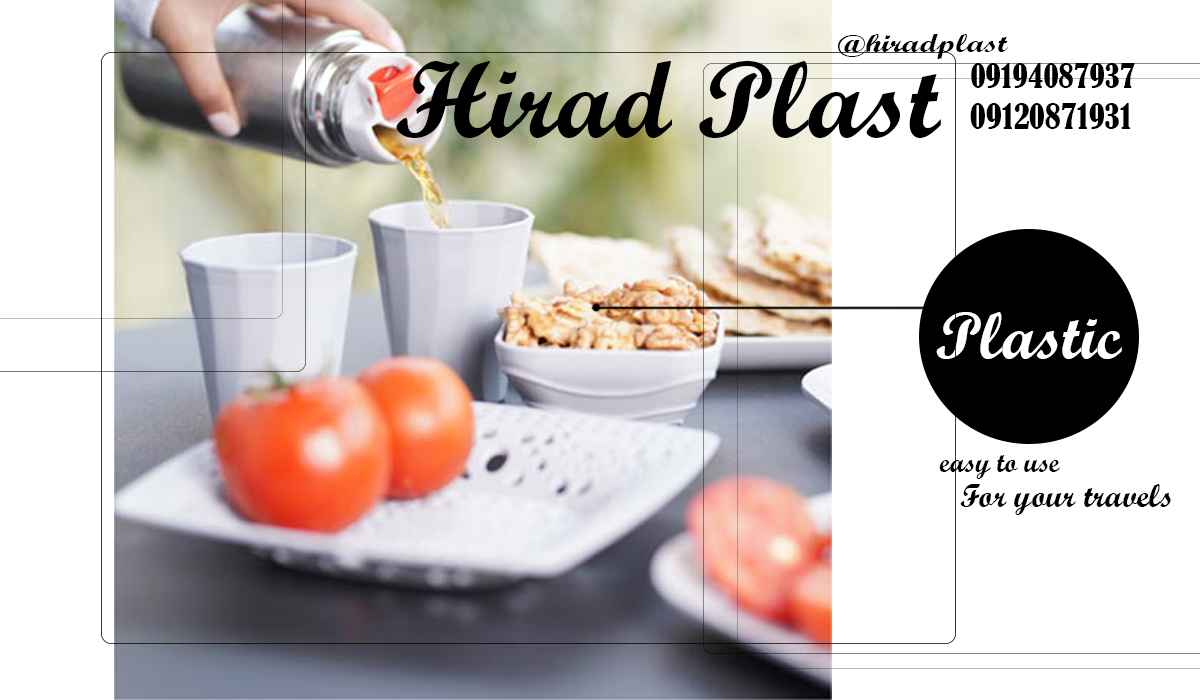 سبد پیک نیک پلاستیکی